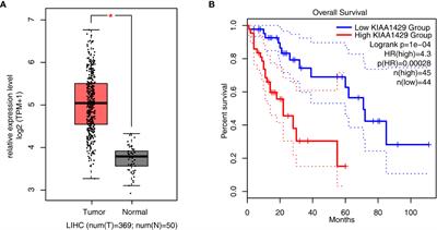 KIAA1429 regulates alternative splicing events of cancer-related genes in hepatocellular carcinoma